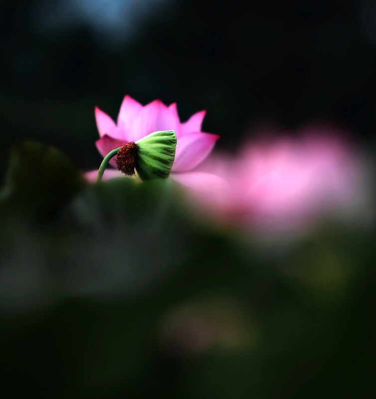 十大外围足球平台app