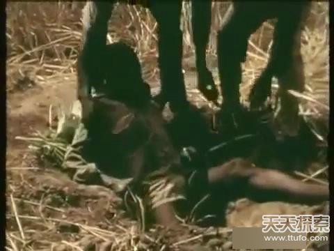 十大外围足球平台app手机版