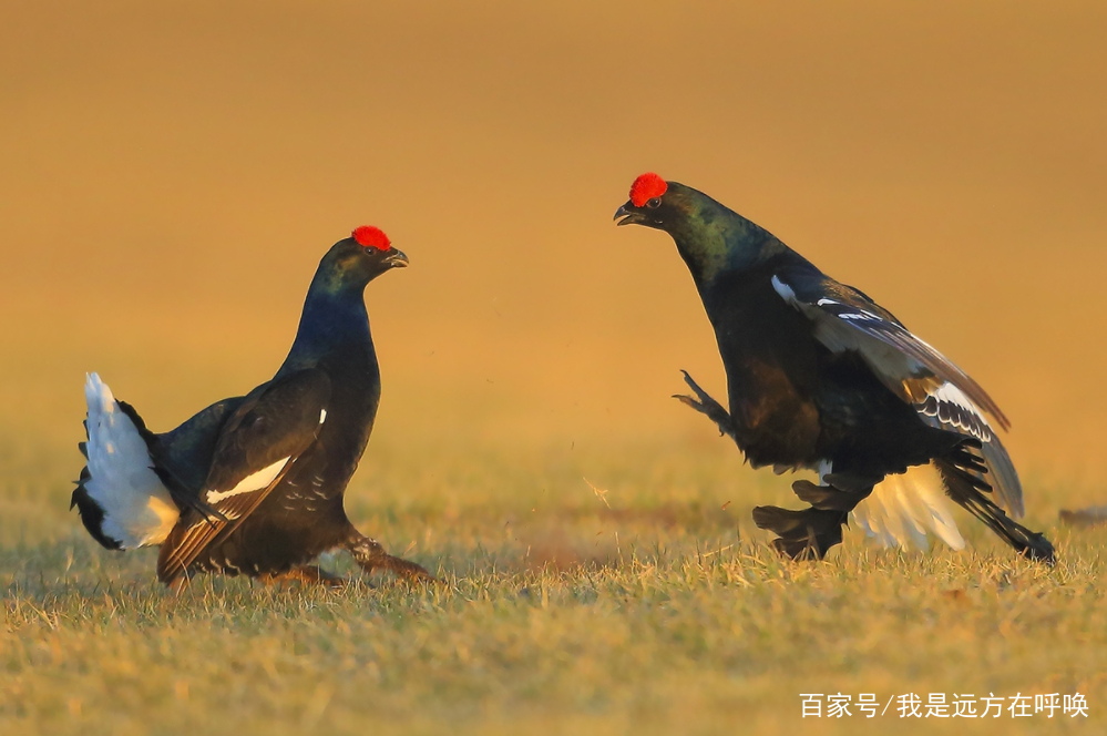 汝州市举办2019年希望工程关爱留守儿童公益助学活动:十大外围足球平台app手机版(图1) 十大外围足球平台app