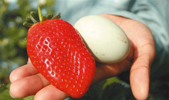 ‘十大外围足球平台app’福建:消防知识将纳入学生军训科目(图2) 十大外围足球平台app手机版