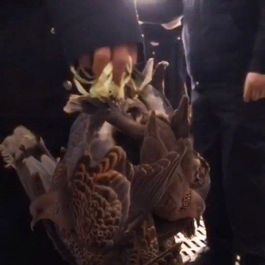 十大外围足球平台app手机版