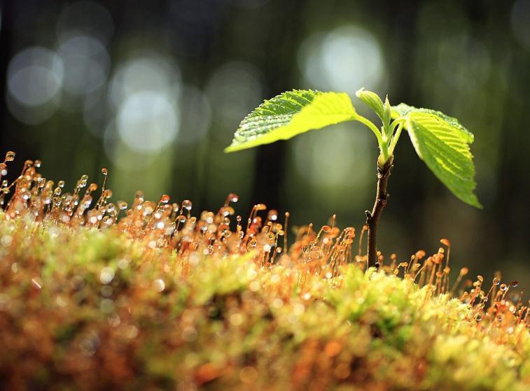 十大外围足球平台app