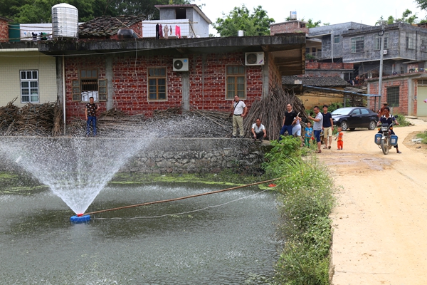 方城县杨楼镇教育总支积极开展党规党史知识竞赛-十大外围足球平台app手机版(图2) 十大外围足球平台app