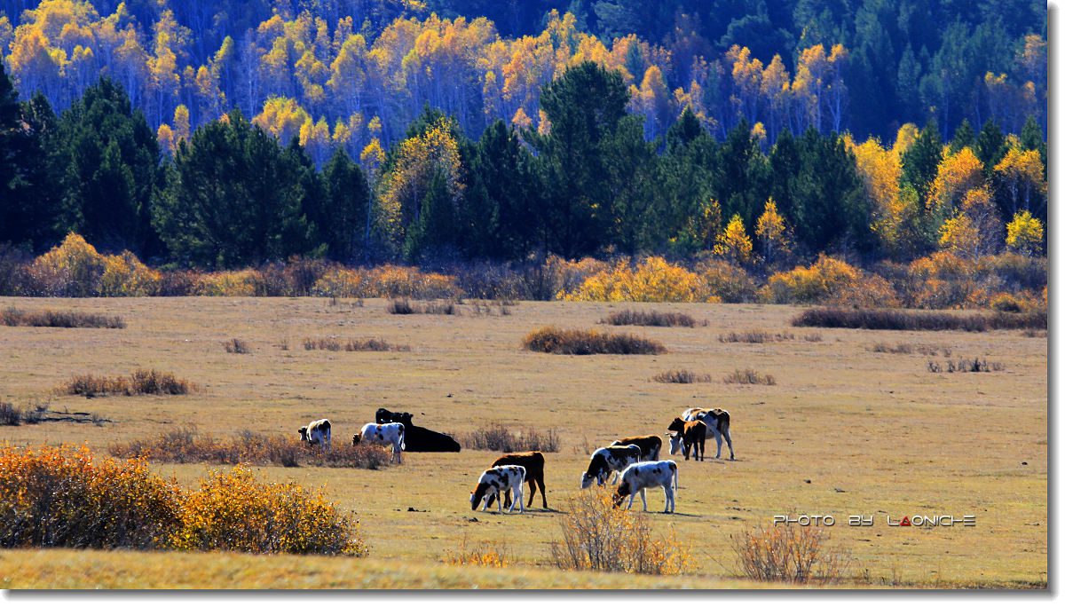 驻马店的小赵航有了钢琴老师【十大外围足球大平台】(图1) 十大外围足球平台app手机版