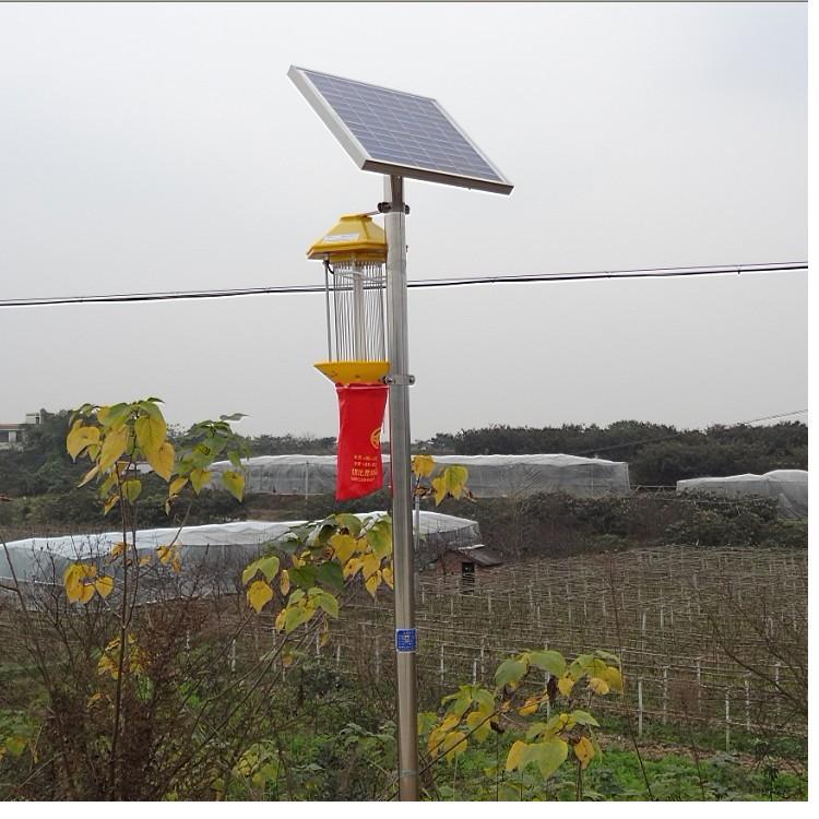 周口西华:加大教育投入确保科学发展|十大外围足球平台app(图2) 十大外围足球大平台