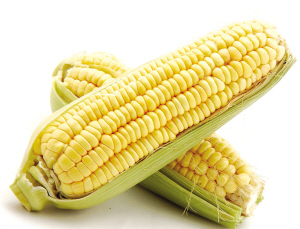 木地板不仅能上墙,还能上天【十大外围足球平台app】(图1) 十大外围足球大平台