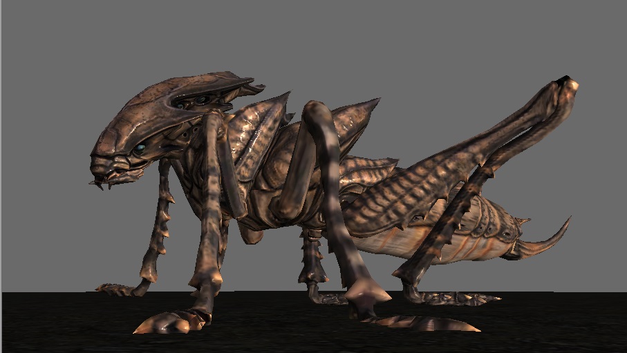 ‘十大外围足球平台app’失踪女教师张帆遗体被找到(图4) 十大外围足球平台app