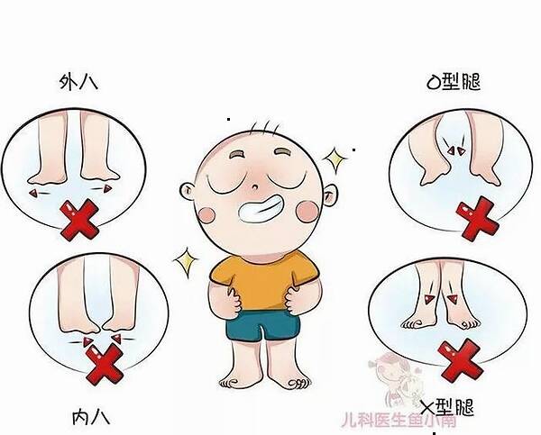 福建:适应高考考试大纲新要求 明确备考方向:十大外围足球平台app(图1) 十大外围足球大平台