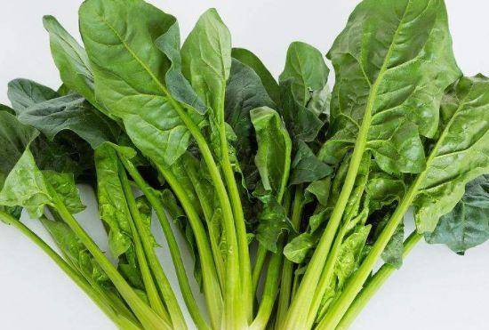 艾雨的人性很快让老太太担忧 所以建议吃三种以上的食物 美容养生 养生！：十大外围足球大平台(图3)