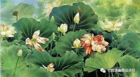 “美国课堂中国行”游学团到二七区进行交流访问|十大外围足球平台app(图2) 十大外围足球平台app