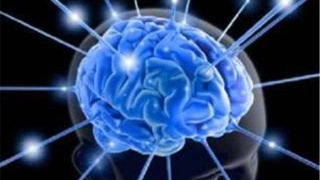 十大外围足球平台app手机版|pvc墙板究竟好不好?我们在安装种需要注意哪几点?(图1) 十大外围足球平台app