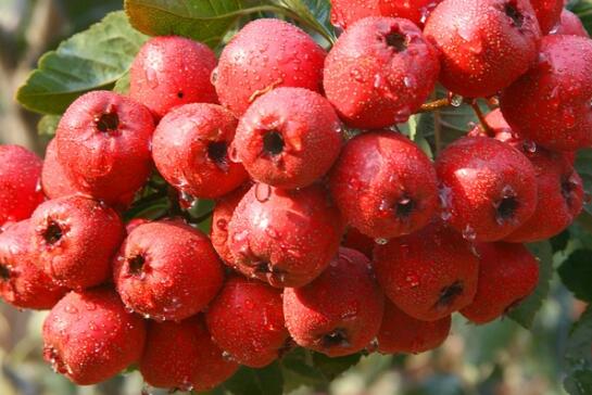 济源市全面强化教育督政工作|十大外围足球大平台(图3) 十大外围足球平台app手机版