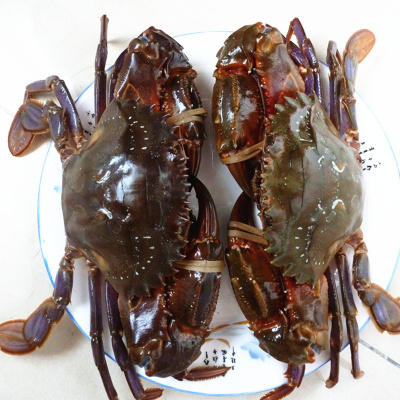 十大外围足球平台app手机版