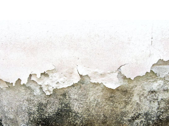 十大外围足球平台app