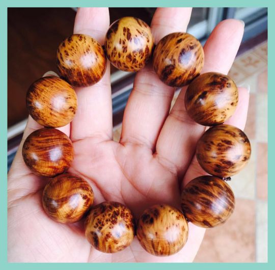 十大外围足球平台app手机版