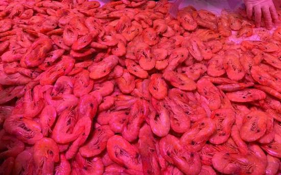 十大外围足球平台app