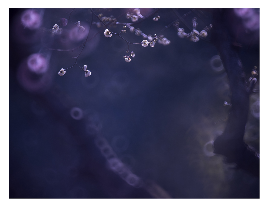 【十大外围足球平台app手机版】郑州中原区教育系统召开安全工作会(图1) 十大外围足球平台app