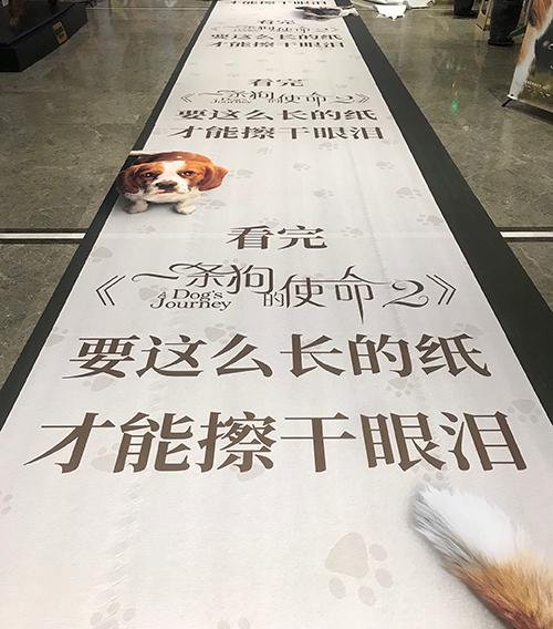 十大外围足球大平台