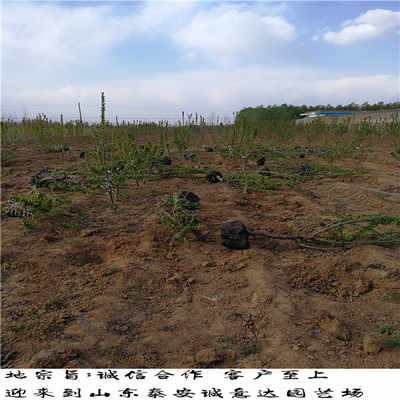 武汉精装修房“问题重重”,收房这些都不知道,你就亏大了!‘十大外围足球大平台’(图2) 十大外围足球平台app手机版