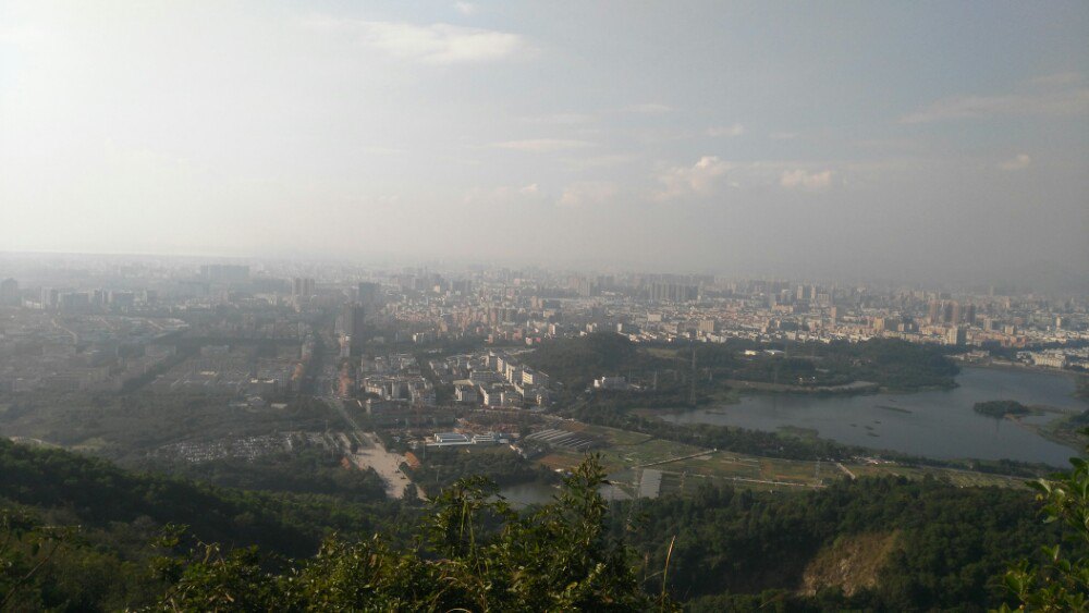 十大外围足球平台app手机版