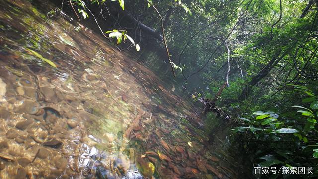 十大外围足球平台app