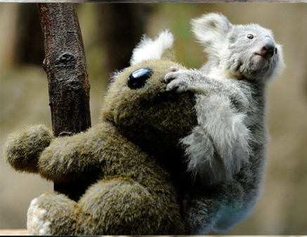 十大外围足球平台app手机版