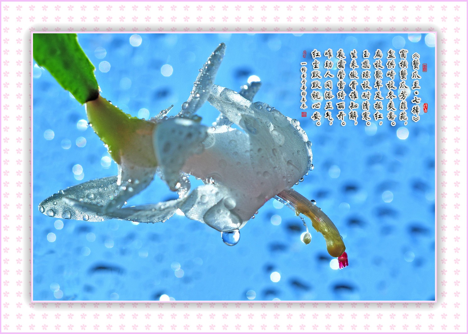 十大外围足球平台app