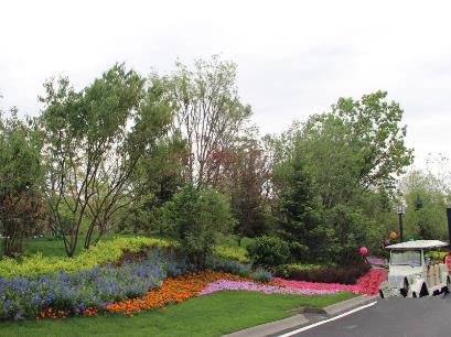 十大外围足球大平台