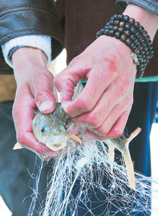 十大外围足球平台app手机版