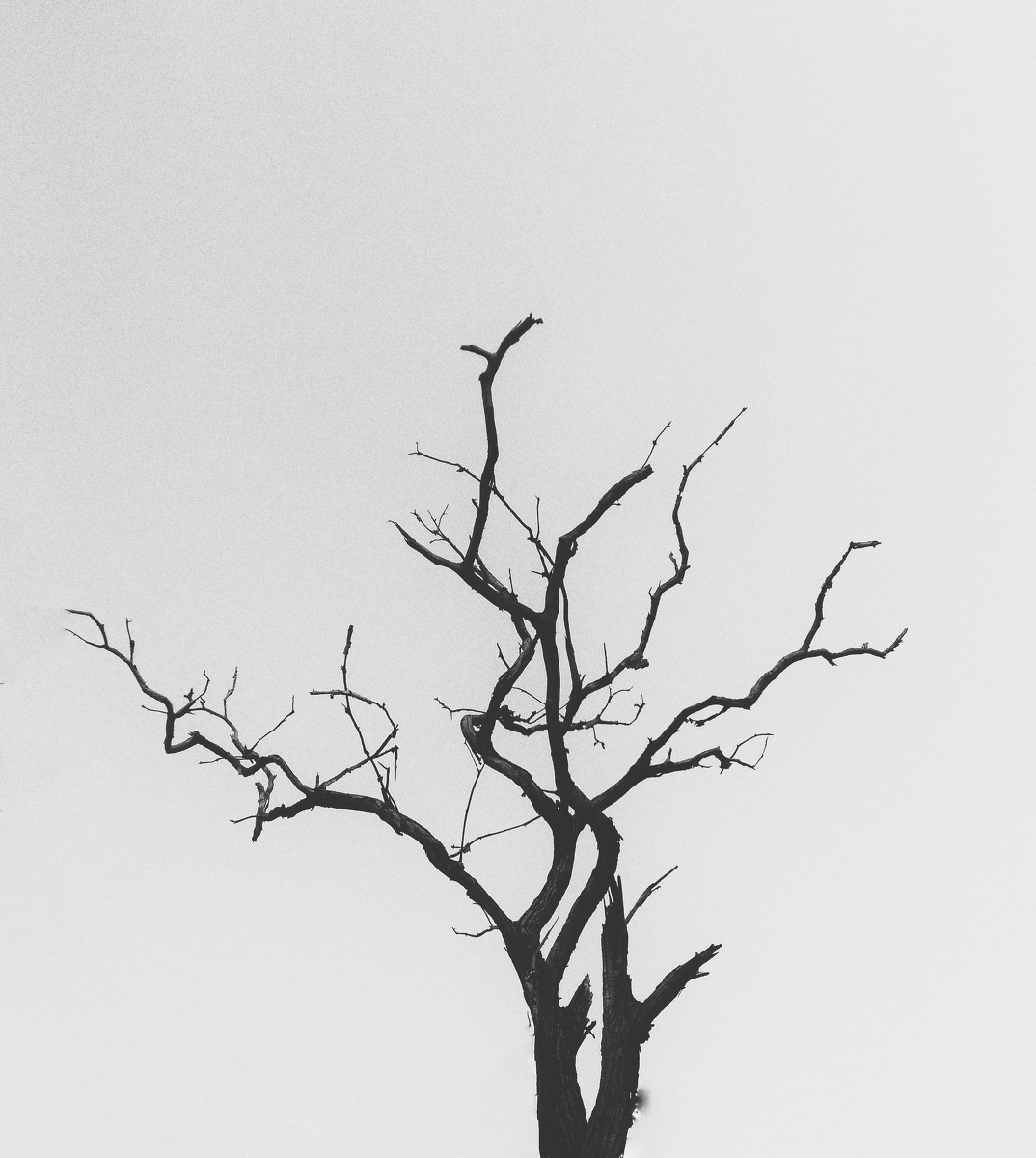 十大外围足球平台app手机版