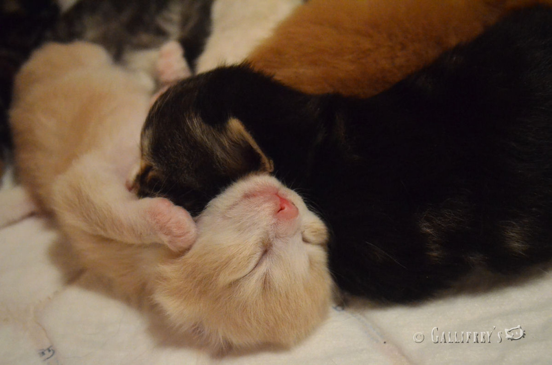 光谷汇景日式风格装修效果图展示“十大外围足球平台app手机版”(图3) 十大外围足球平台app手机版