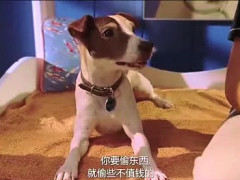 十大外围足球大平台