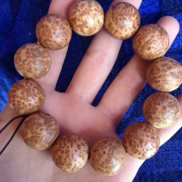 十大外围足球大平台|郑州三年新增3万多个中小学学位将出台入学办法(图4) 十大外围足球平台app