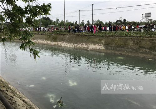 十大外围足球平台app手机版