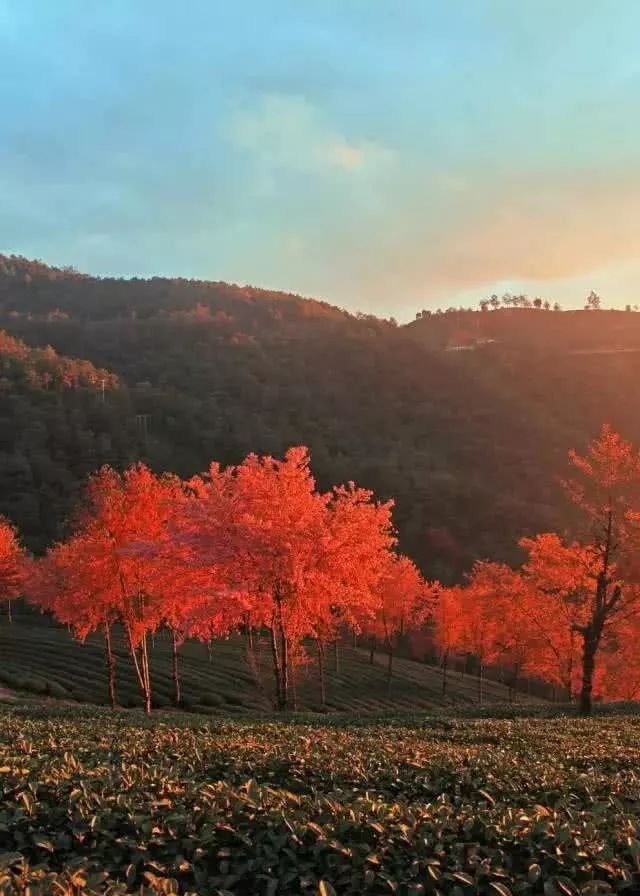 十大外围足球大平台