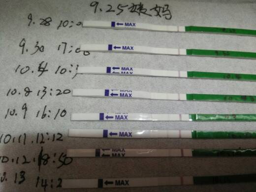 十大外围足球大平台