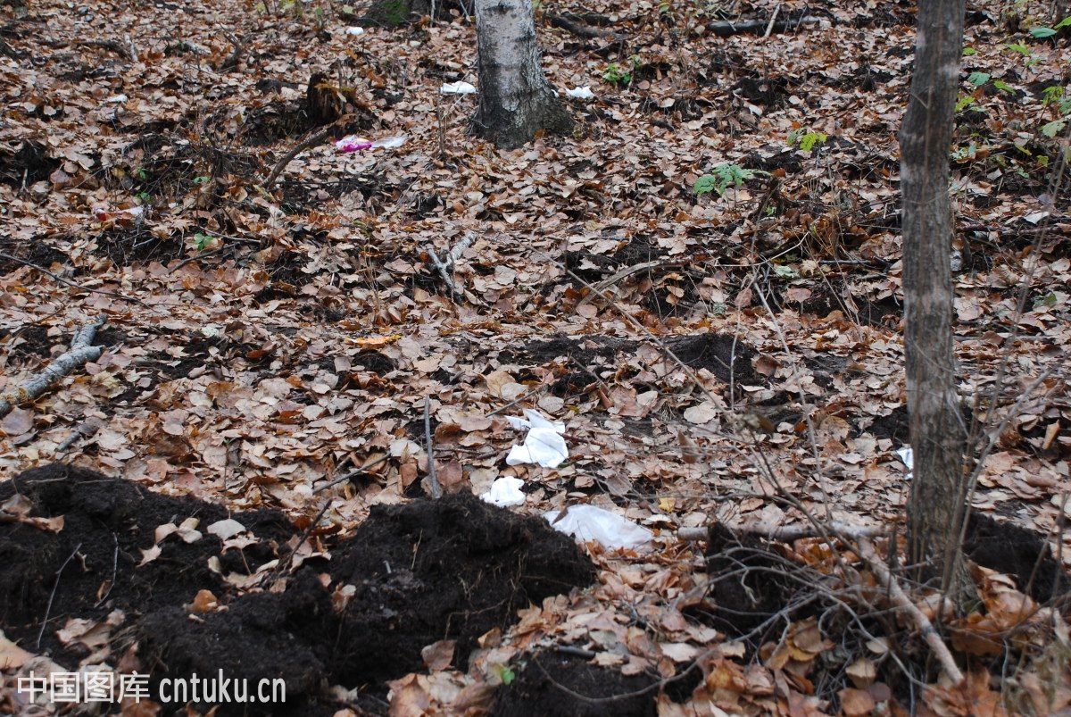 十大外围足球平台app