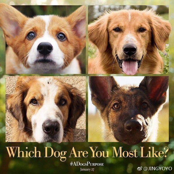 十大外围足球平台app