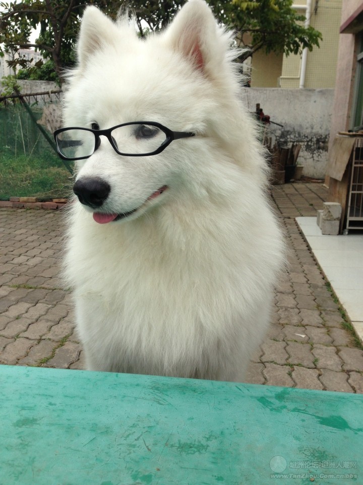 十大外围足球平台app手机版