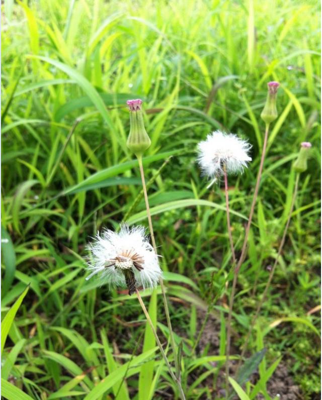 十大外围足球平台app手机版