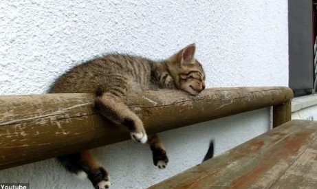 十大外围足球平台app