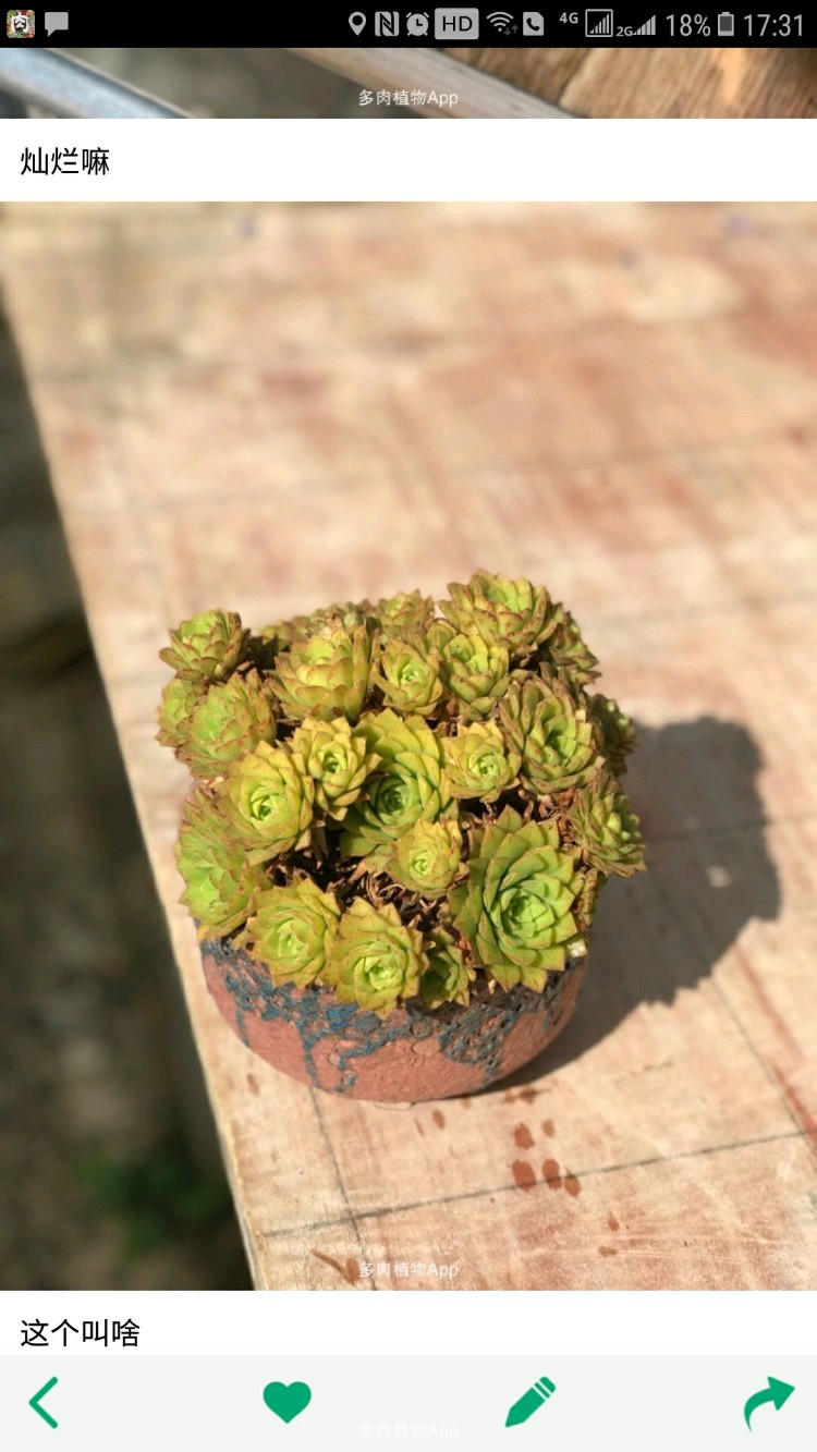 十大外围足球大平台