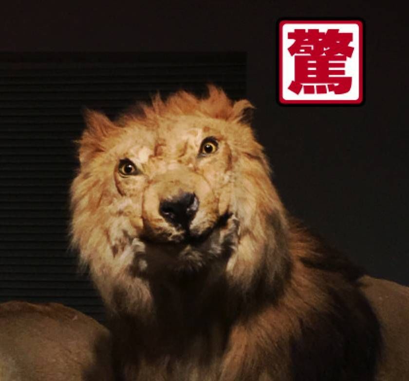 十大外围足球大平台